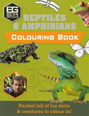 Bear Grylls - Bear Grylls Colouring Books: Reptiles (Bear Grylls Activity) - 9781786960023 - V9781786960023