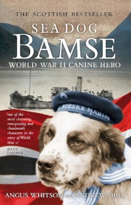 Angus Whitson - SEA DOG BAMSE: World War II Canine Hero - 9781841588490 - V9781841588490