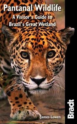 James Lowen - Pantanal Wildlife: A Visitor's Guide to Brazil's Great Wetland (Bradt Wildlife Explorer) - 9781841623054 - V9781841623054