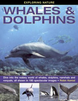 Robin Kerrod - Exploring Nature: Whales & Dolphins - 9781843229124 - V9781843229124