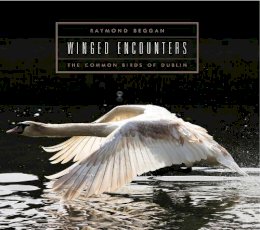 Raymond Beggan - Winged Encounters - 9781843513995 - 9781843513995