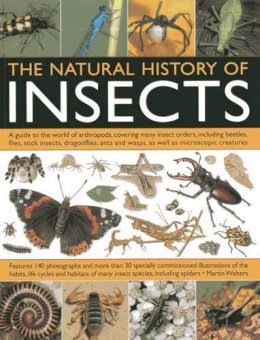 Martin Walters - The Natural History of Insects - 9781844764686 - V9781844764686