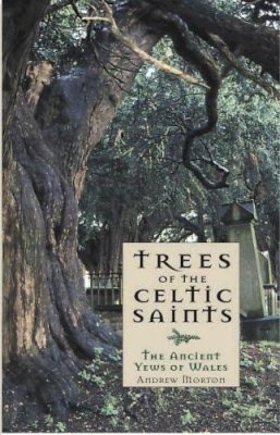 Andrew Morton - Trees of the Celtic Saints - the Ancient Yews of Wales - 9781845271732 - V9781845271732