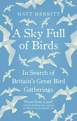 Matt Merritt - A Sky Full of Birds - 9781846044809 - V9781846044809