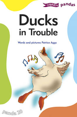 Patrice Aggs - Ducks in Trouble - 9781847171542 - V9781847171542