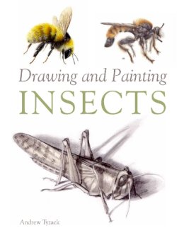 Andrew Tyzack - Drawing and Painting Insects - 9781847974891 - V9781847974891