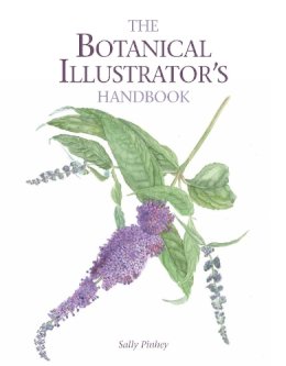 Sally Pinhey - The Botanical Illustrator's Handbook - 9781847977175 - V9781847977175