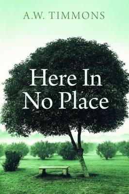 A. W. Timmons - Here in No Place - 9781848402751 - KTJ0050879