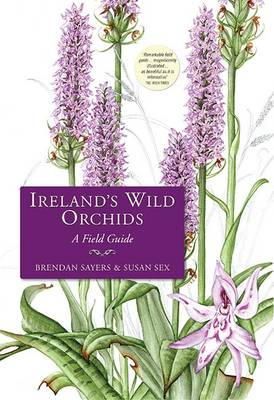 Brendan Sayers - Ireland´s Wild Orchids - 9781848891692 - V9781848891692