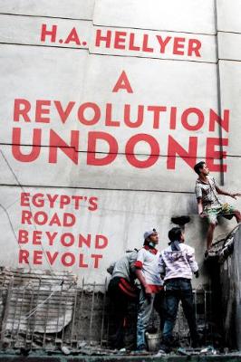 H. A. Hellyer - A Revolution Undone: Egypt´s Road Beyond Revolt - 9781849046848 - V9781849046848