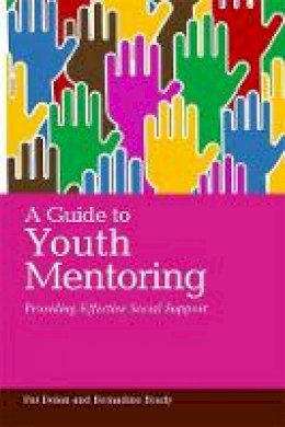 Pat Dolan - A Guide to Youth Mentoring: Providing Effective Social Support - 9781849051484 - V9781849051484
