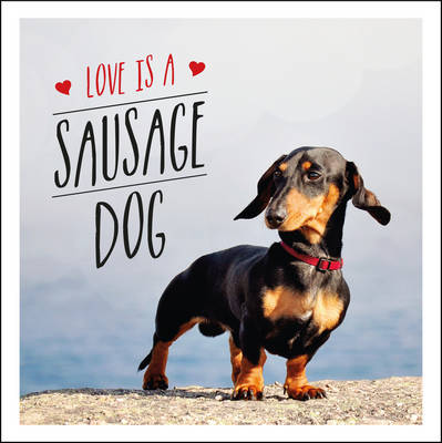 Charlie Ellis - Love is a Sausage Dog (Gift Book) - 9781849539876 - V9781849539876