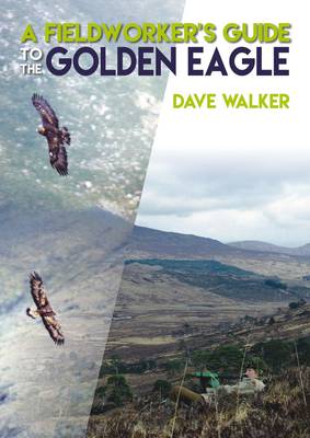 Dave Walker - A Fieldworker's Guide to the Golden Eagle - 9781849952248 - V9781849952248