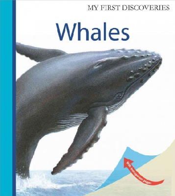Ute Fuhr - WHALES MY FIRST DISCOVERIES - 9781851034253 - V9781851034253