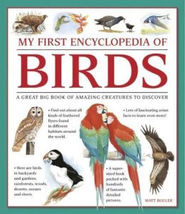Bugler Matt - My First Encylopedia of Birds: A First Encyclopedia With Supersize Pictures - 9781861478214 - V9781861478214