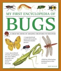 Bugler Matt - My First Encylopedia of Bugs: A First Encyclopedia With Supersize Pictures - 9781861478238 - V9781861478238