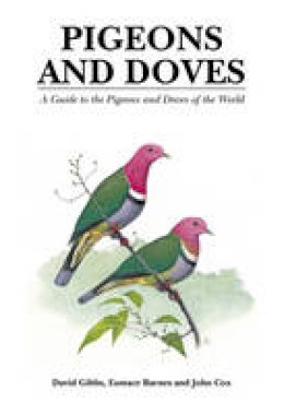 David Gibbs - Pigeons and Doves - 9781873403600 - V9781873403600