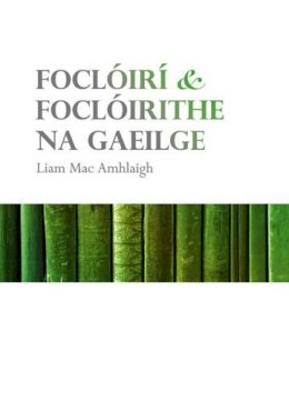 Liam Mac Amhlaigh - Foclóiri Agus Foclóirithe Na Gaeilge - 9781901176834 - V9781901176834