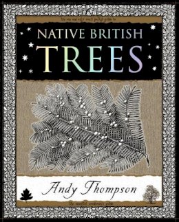 Andy Thompson - Native British Trees - 9781904263326 - V9781904263326