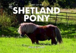 Heidi M. Sands - Spirit of the Shetland Pony - 9781906887599 - V9781906887599