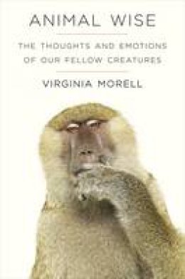 Virginia Morell - Animal Wise: The Thoughts and Emotions of Animals - 9781906964917 - V9781906964917