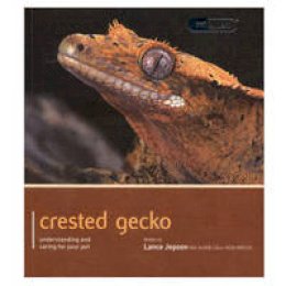 Lance Jepson - Crested Gecko - Pet Expert - 9781907337161 - V9781907337161