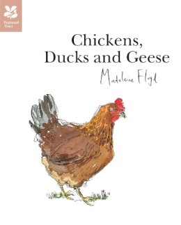 Madeleine Floyd - Chickens, Ducks and Geese - 9781907892318 - V9781907892318