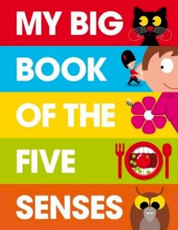Patrick George - My Big Book of the Five Senses - 9781908473110 - V9781908473110