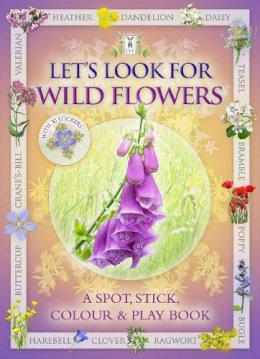 Caz Buckingham - Let's Look for Wild Flowers - 9781908489067 - V9781908489067