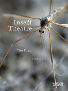 Hugh Raffles - Insect Theatre - 9781908966117 - V9781908966117