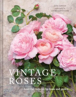 Jane Eastoe  - Vintage Roses: Beautiful Varieties for Home and Garden - 9781910496909 - V9781910496909