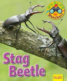 Ruth Owen - Wildlife Watchers: Stag Beetle: 2017 - 9781911341239 - V9781911341239