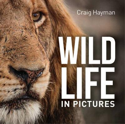 Craig Hayman - Wildlife In Pictures - 9781921517624 - V9781921517624