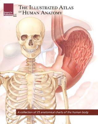 Scientific Publishing - Illustrated Atlas of Human Anatomy - 9781932922950 - V9781932922950