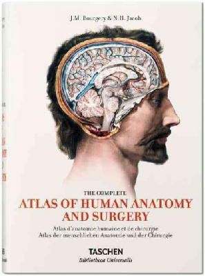 Le Minor, Jean-Marie, Sick, Henri - Bourgery: Atlas of Human Anatomy and Surgery - 9783836556620 - V9783836556620