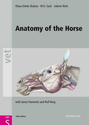 Klaus Dieter Budras - Anatomy of the Horse - 9783899936667 - V9783899936667