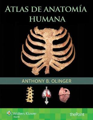Anthony B. Olinger - Atlas de anatomia humana - 9788416353774 - V9788416353774