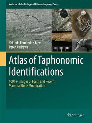 Yolanda Fernandez-Jalvo - Atlas of Taphonomic Identifications: 1001+ Images of Fossil and Recent Mammal Bone Modification - 9789401774307 - V9789401774307