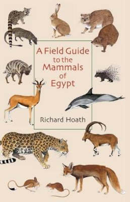 Richard Hoath - A Field Guide to the Mammals of Egypt - 9789774162541 - V9789774162541