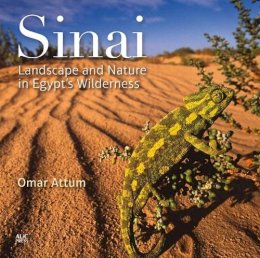 Omar Attum - Sinai: Landscape and Nature in Egypt's Wilderness - 9789774166617 - V9789774166617