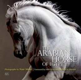 Cynthia Culbertson - The Arabian Horse of Egypt - 9789774166655 - V9789774166655