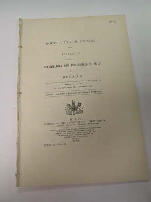 John Fagan - Reformatory and Industrial Schools of Ireland Forty Fifth Report of the Inspector -  - KDK0005314