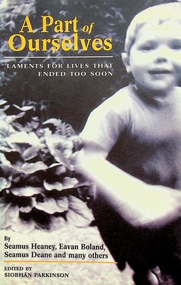  - A Part of Ourselves: Laments for Lives That Ended Too Soon - 9781899047345 - KEX0303060