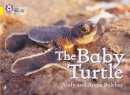 Andy Belcher - The Baby Turtle: Band 03/Yellow (Collins Big Cat) - 9780007186594 - V9780007186594