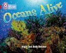 Angie Belcher - Oceans Alive: Band 14/Ruby (Collins Big Cat) - 9780007230921 - V9780007230921