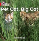 Alison Hawes - Pet Cat, Big Cat: Band 02A/Red A (Collins Big Cat Phonics) - 9780007235872 - V9780007235872