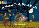 Tim Hopgood - It Was a Cold Dark Night: Band 03/Yellow (Collins Big Cat) - 9780007329229 - V9780007329229