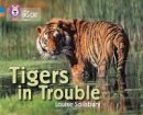 Louise Spilsbury - Tigers in Trouble: Band 04 Blue/Band 12 Copper (Collins Big Cat Progress) - 9780007428809 - V9780007428809