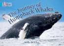Andy Belcher - The Journey of Humpback Whales: Band 07/Turquoise (Collins Big Cat) - 9780007461820 - V9780007461820