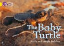 Andy Belcher - The Baby Turtle: Band 03/Yellow (Collins Big Cat) - 9780007475612 - V9780007475612